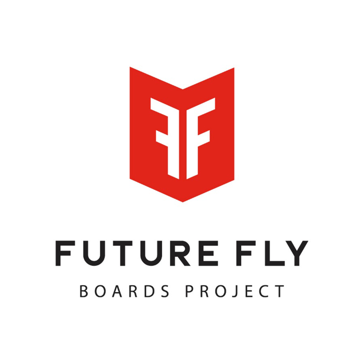 Future Fly